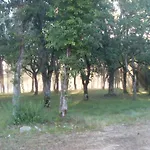Vakantiehuis Domaine De Gayfie Sarl *