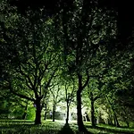 Hébergement de vacances Domaine De Gayfié Salvagnac-Cajarc