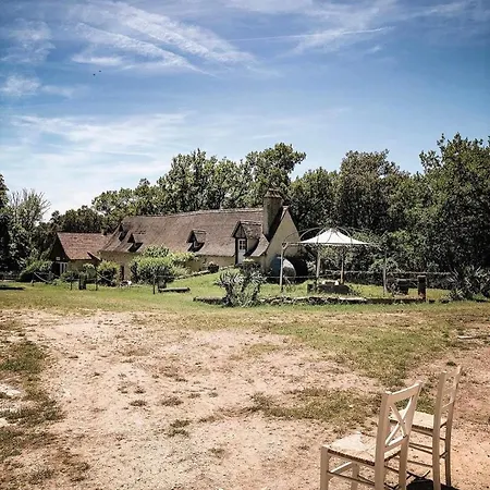 Domaine De Gayfie * Salvagnac-Cajarc