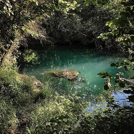 Domaine De Gayfie * Salvagnac-Cajarc