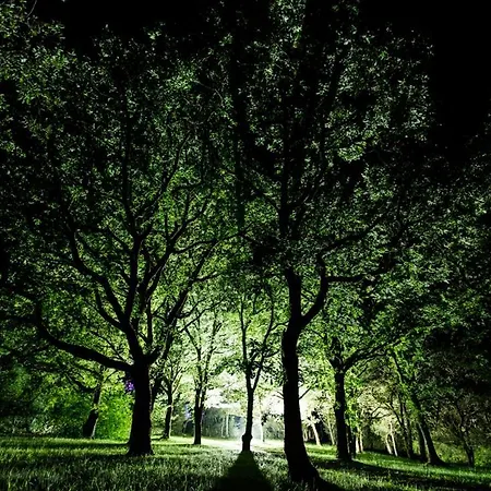 Dom wakacyjny Domaine De Gayfie Salvagnac-Cajarc