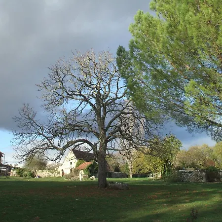 Dom wakacyjny Domaine De Gayfie Salvagnac-Cajarc