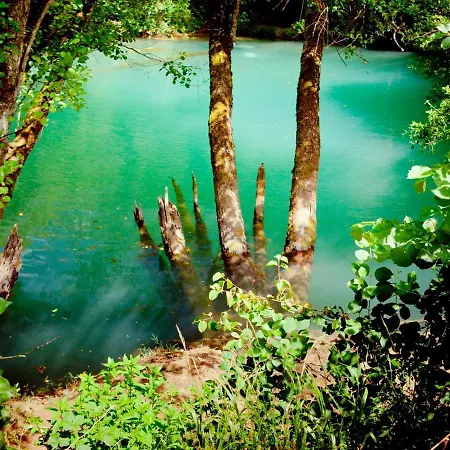 Domaine De Gayfie Salvagnac-Cajarc