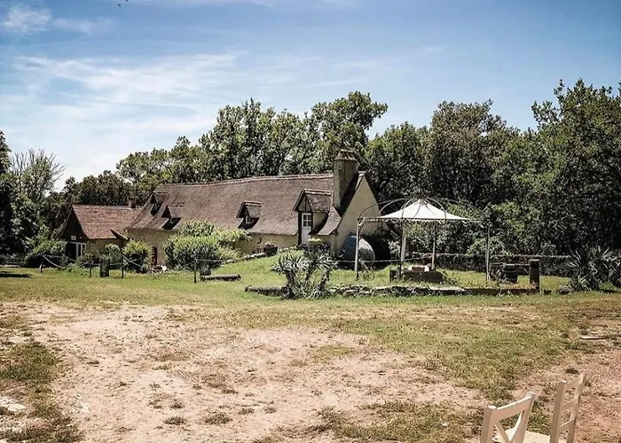 Domaine De Gayfie Sarl * Salvagnac-Cajarc