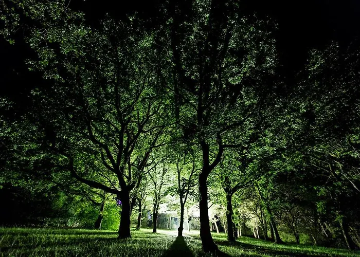 Vakantiehuis Domaine De Gayfie Sarl Salvagnac-Cajarc