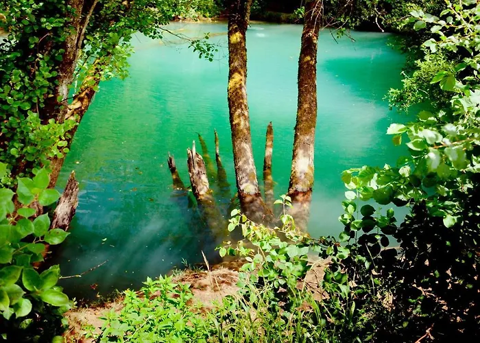 Domaine De Gayfie Sarl Salvagnac-Cajarc